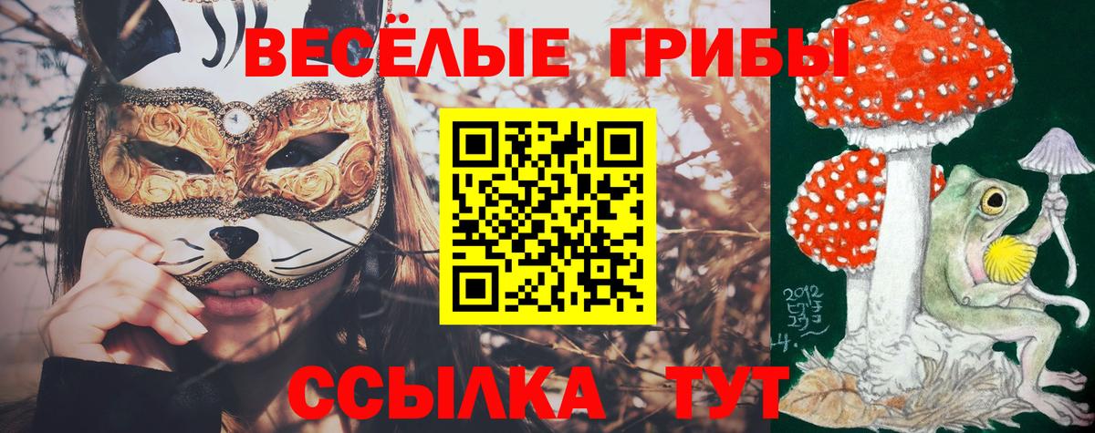 закладка  Вход с VPN  Псилоцибиновые грибы Psilocybe  Электрогорск  Галлюциногенные грибы мухоморы 